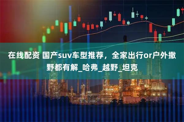 在线配资 国产suv车型推荐，全家出行or户外撒野都有解_哈弗_越野_坦克